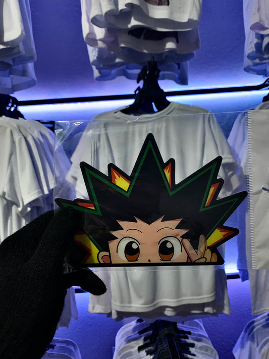 Siker 3D Hunter x Huenter Gon